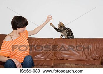 Stock Photograph - woman playing 
with her cat. 
fotosearch - search 
stock photos, 
pictures, images, 
and photo clipart