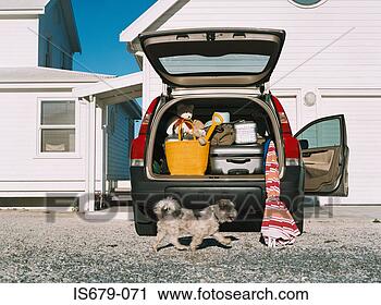 Stock Photography - dog by car full 
of luggage. fotosearch 
- search stock 
photos, pictures, 
images, and photo 
clipart