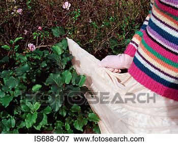 Picture - woman snagging 
her skirt on a 
bush. fotosearch 
- search stock 
photos, pictures, 
images, and photo 
clipart