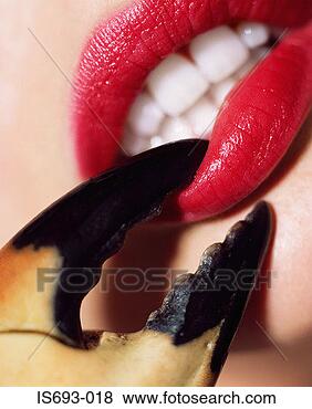 Stock Photo - crab pinching 
woman's lip. fotosearch 
- search stock 
photos, pictures, 
images, and photo 
clipart