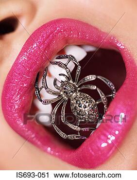 jewel spider