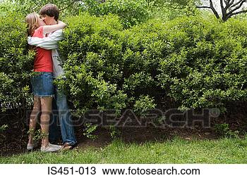 Banco de Imagem - adolescente,  
par,  beijando, 
 bush. fotosearch 
- busca de fotos, 
imagens e clipart