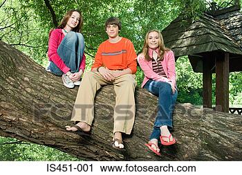 Arquivo de Fotografia - três,  adolescentes, 
 sentando,  ramo. 
fotosearch - busca 
de fotos, imagens 
e clipart