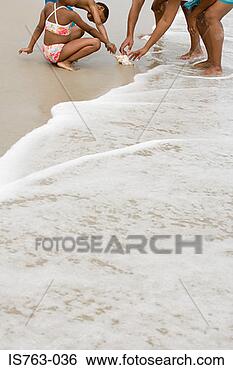 Stock Photo - family looking 
at shell. fotosearch 
- search stock 
photos, pictures, 
images, and photo 
clipart