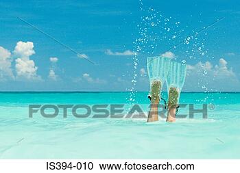 Stock Photography - swimming flippers. 
fotosearch - search 
stock photos, 
pictures, images, 
and photo clipart
