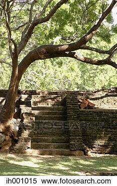 Stock Image - stairs in a park. 
fotosearch - search 
stock photos, 
pictures, images, 
and photo clipart