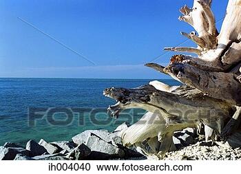 Stock Photography - sea view. fotosearch 
- search stock 
photos, pictures, 
images, and photo 
clipart