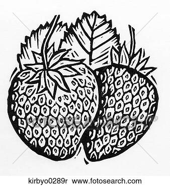 Banco de Imagem - morangos,  morango, 
 bagas,  delicioso, 
 fruta,  ingredientes, 
 doce. fotosearch 
- busca de fotos, 
imagens e clipart