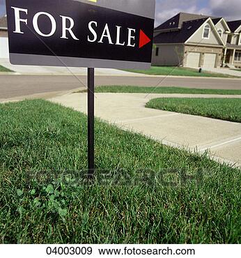 Stock Photograph - a for sale sign 
on a suburban 
lawn. fotosearch 
- search stock 
photos, pictures, 
images, and photo 
clipart