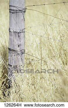 Stock Photo - detail view of 
a fence post with 
barbed wire. fotosearch 
- search stock 
photos, pictures, 
images, and photo 
clipart