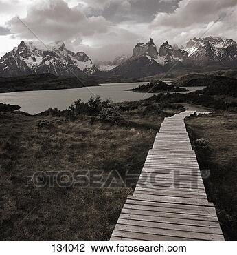 Stock Photo - wildlife, nature, 
range, mountain, 
leading, walkway. 
fotosearch - search 
stock photos, 
pictures, images, 
and photo clipart