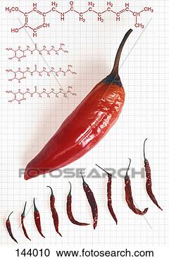 Stock Illustration - biology, botany, 
burn, capsicum, 
carbon, chain. 
fotosearch - search 
clipart, illustration, 
drawings and vector 
eps graphics images