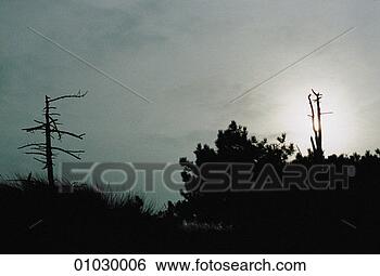 Banco de Imagem - rural,  paisagem. 
fotosearch - busca 
de fotos, imagens 
e clipart