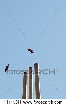 Stock Photo - bails flying from 
cricket stumps. 
fotosearch - search 
stock photos, 
pictures, images, 
and photo clipart