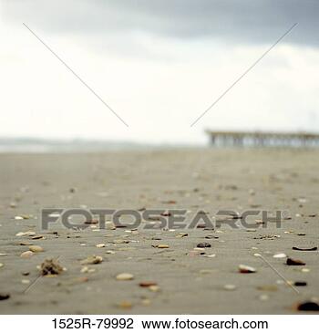Stock Photo - dried leaves on 
an empty road. 
fotosearch - search 
stock photos, 
pictures, images, 
and photo clipart