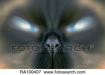 Picture - cat's eyes. fotosearch 
- search stock 
photos, pictures, 
wall murals, images, 
and photo clipart