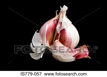 Picture - garlic. fotosearch 
- search stock 
photos, pictures, 
images, and photo 
clipart