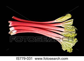 Stock Photography - rhubarb. fotosearch 
- search stock 
photos, pictures, 
images, and photo 
clipart
