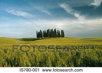 Stock Photography - tuscan countryside. 
fotosearch - search 
stock photos, 
pictures, images, 
and photo clipart
