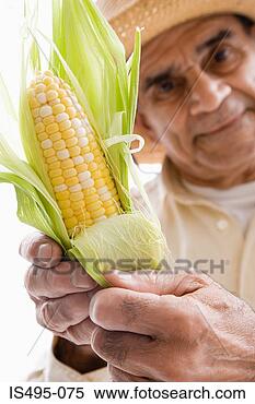 Stock Image - man holding a 
corn on the cob. 
fotosearch - search 
stock photos, 
pictures, images, 
and photo clipart