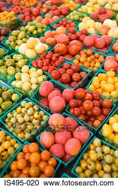 Stock Photography - variety of tomatoes 
at the market. 
fotosearch - search 
stock photos, 
pictures, images, 
and photo clipart