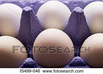 Stock Photo - eggs. fotosearch 
- search stock 
photos, pictures, 
images, and photo 
clipart