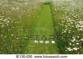 Arquivo de Fotografias - palavra, esperança. 
fotosearch - busca 
de fotos, imagens 
e clipart