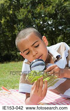 Stock Photo - boy looking at 
leaf with magnifying 
glass. fotosearch 
- search stock 
photos, pictures, 
images, and photo 
clipart