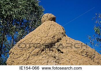 Stock Photo - termite hill. 
fotosearch - search 
stock photos, 
pictures, images, 
and photo clipart