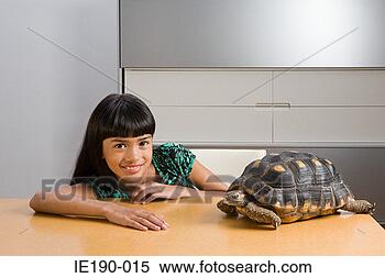 Banco de Imagem - menina,  tartaruga. 
fotosearch - busca 
de fotos, imagens 
e clipart