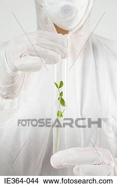 Stock Photo - scientist with 
plant in test 
tube. fotosearch 
- search stock 
photos, pictures, 
images, and photo 
clipart