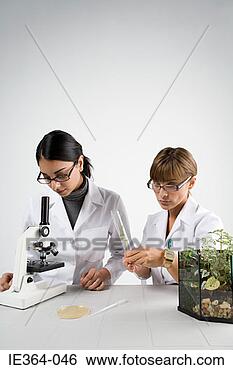 Stock Photo - scientists with 
microscope and 
plant. fotosearch 
- search stock 
photos, pictures, 
images, and photo 
clipart