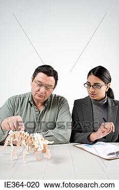 Stock Photography - scientists with 
model dinosaur. 
fotosearch - search 
stock photos, 
pictures, images, 
and photo clipart