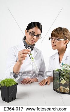 Picture - scientists with 
plants. fotosearch 
- search stock 
photos, pictures, 
images, and photo 
clipart