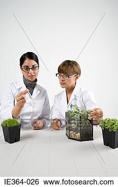 Stock Photo - scientists with 
plants. fotosearch 
- search stock 
photos, pictures, 
images, and photo 
clipart