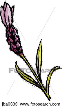 Drawing - purple flower. 
fotosearch - search 
clipart, illustration, 
drawings and vector 
eps graphics images