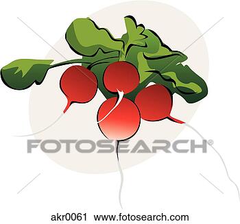 Clipart - radishes. fotosearch 
- search clipart, 
illustration, 
drawings and vector 
eps graphics images