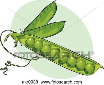 Stock Illustration - snowpeas. fotosearch 
- search clipart, 
illustration, 
drawings and vector 
eps graphics images