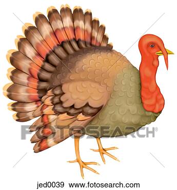 Stock Illustration - turkey. fotosearch 
- search clipart, 
illustration, 
drawings and vector 
eps graphics images