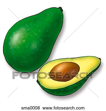 Stock Illustration - avocado. fotosearch 
- search clipart, 
illustration, 
drawings and vector 
eps graphics images