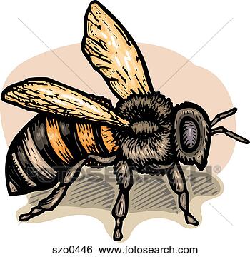 Stock Illustration - bee. fotosearch 
- search clipart, 
illustration, 
drawings and vector 
eps graphics images