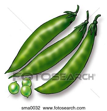 Clip Art - peas. fotosearch 
- search clipart, 
illustration, 
drawings and vector 
eps graphics images