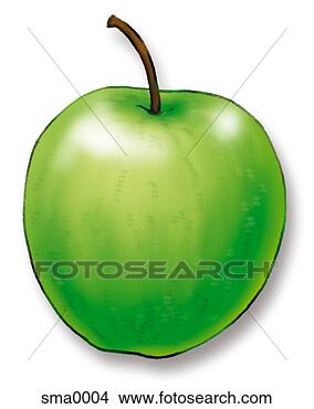 Stock Illustration - shiny green apple. 
fotosearch - search 
clipart, illustration, 
drawings and vector 
eps graphics images