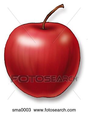 Drawing - shiny red apple. 
fotosearch - search 
clipart, illustration, 
drawings and vector 
eps graphics images