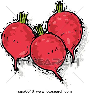 Stock Illustration - three radishes. 
fotosearch - search 
clipart, illustration, 
drawings and vector 
eps graphics images