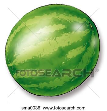 Stock Illustration - watermelon. fotosearch 
- search clipart, 
illustration, 
drawings and vector 
eps graphics images