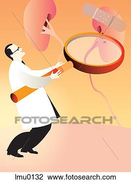 Clip Art - a doctor inspecting 
kidneys with a 
a giant magnifying 
glass. fotosearch 
- search clipart, 
illustration, 
drawings and vector 
eps graphics images
