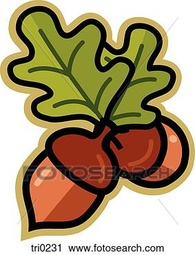 Clipart - illustration of 
acorns and leaves. 
fotosearch - search 
clipart, illustration, 
drawings and vector 
eps graphics images