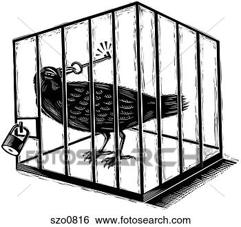 jail bird.