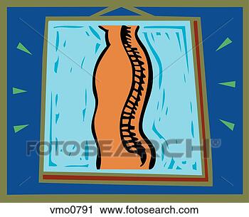 Clipart - illustration of 
a spine. fotosearch 
- search clipart, 
illustration, 
drawings and vector 
eps graphics images